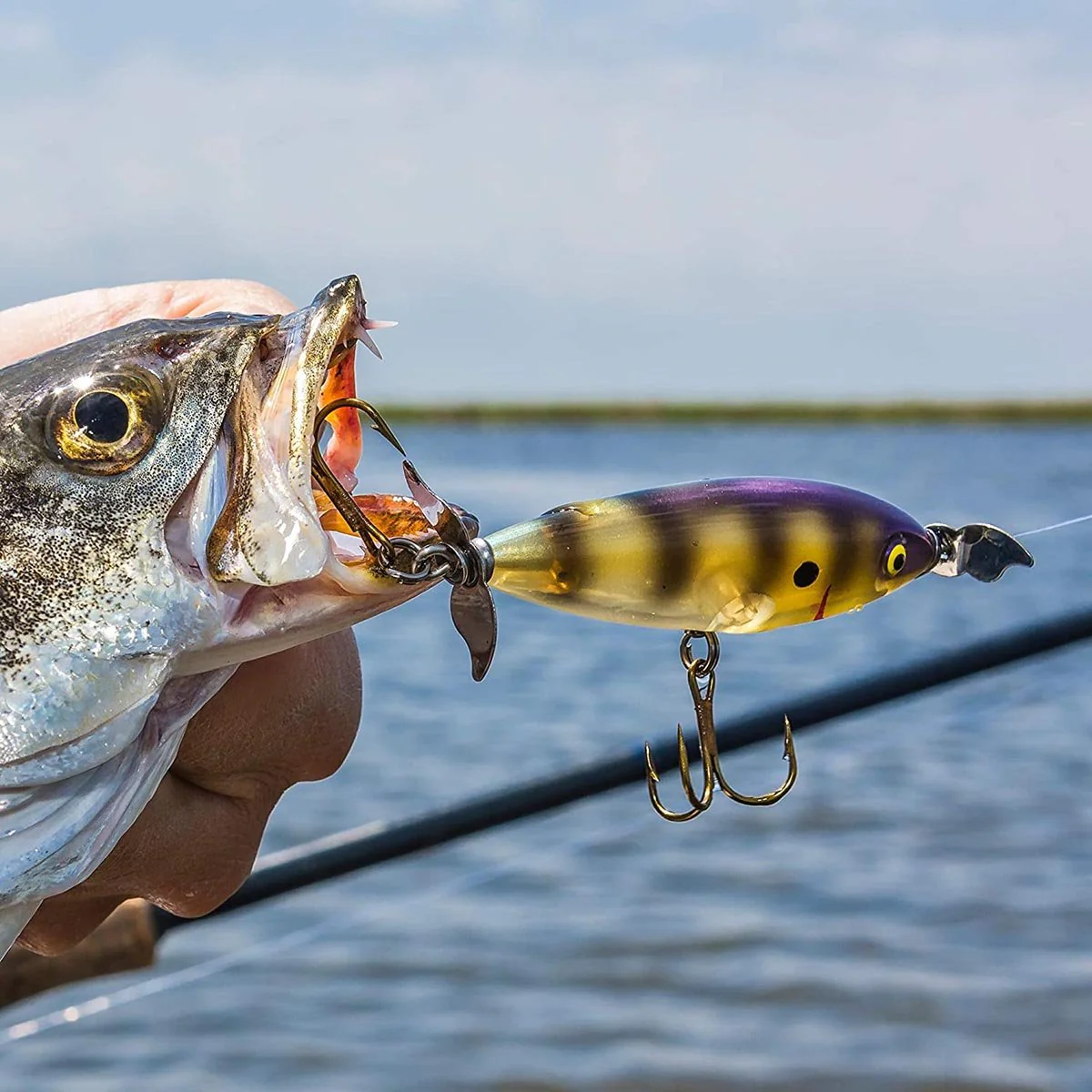 Cotton Cordell Crazy Shad 3/8 oz Fishing Lure - Image 3
