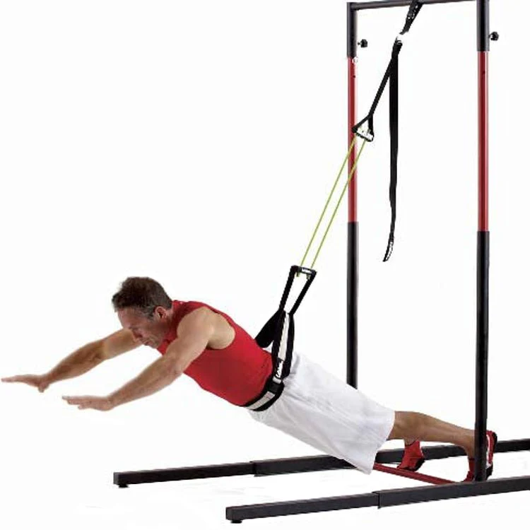 Lifeline USA Pull Up Revolution Pro - Image 6
