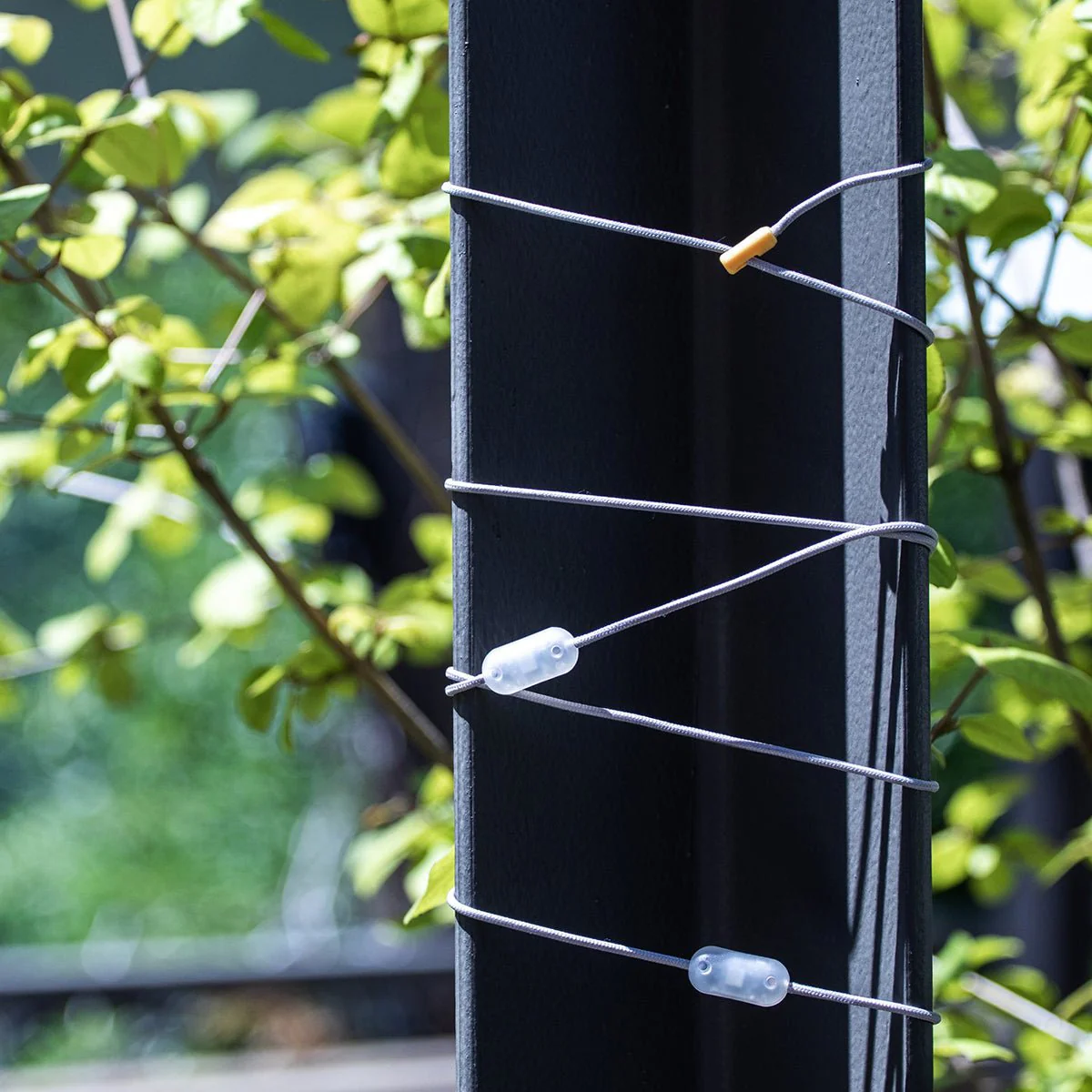 MPOWERD Luci Color Solar String Lights - Image 5