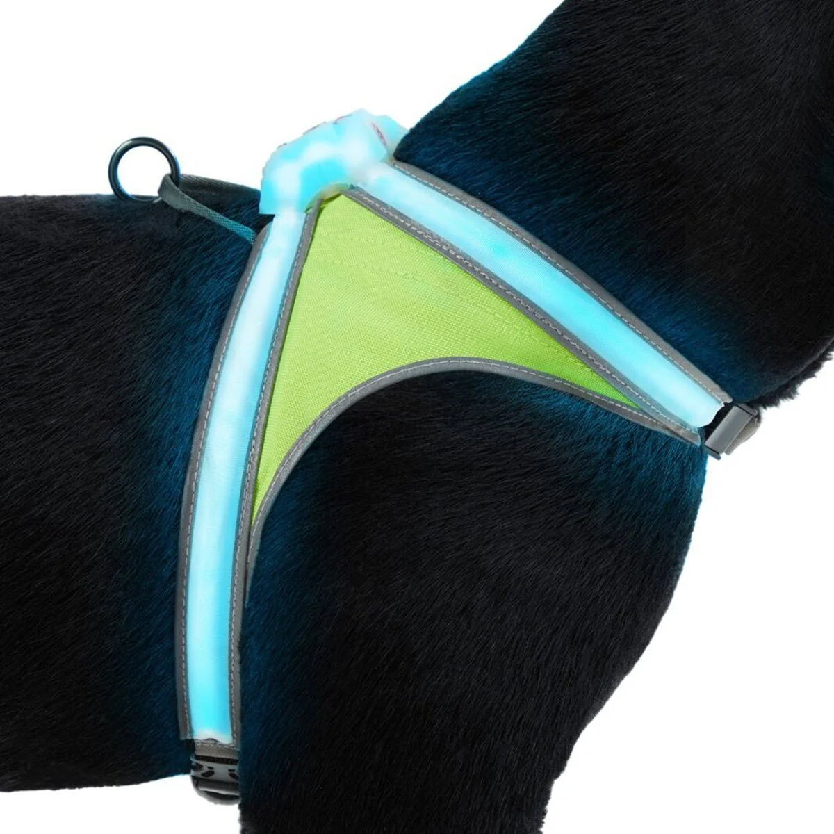 Noxgear Lighthound 360 Visibility Multicolor Reflective LED Dog Harness - Image 2
