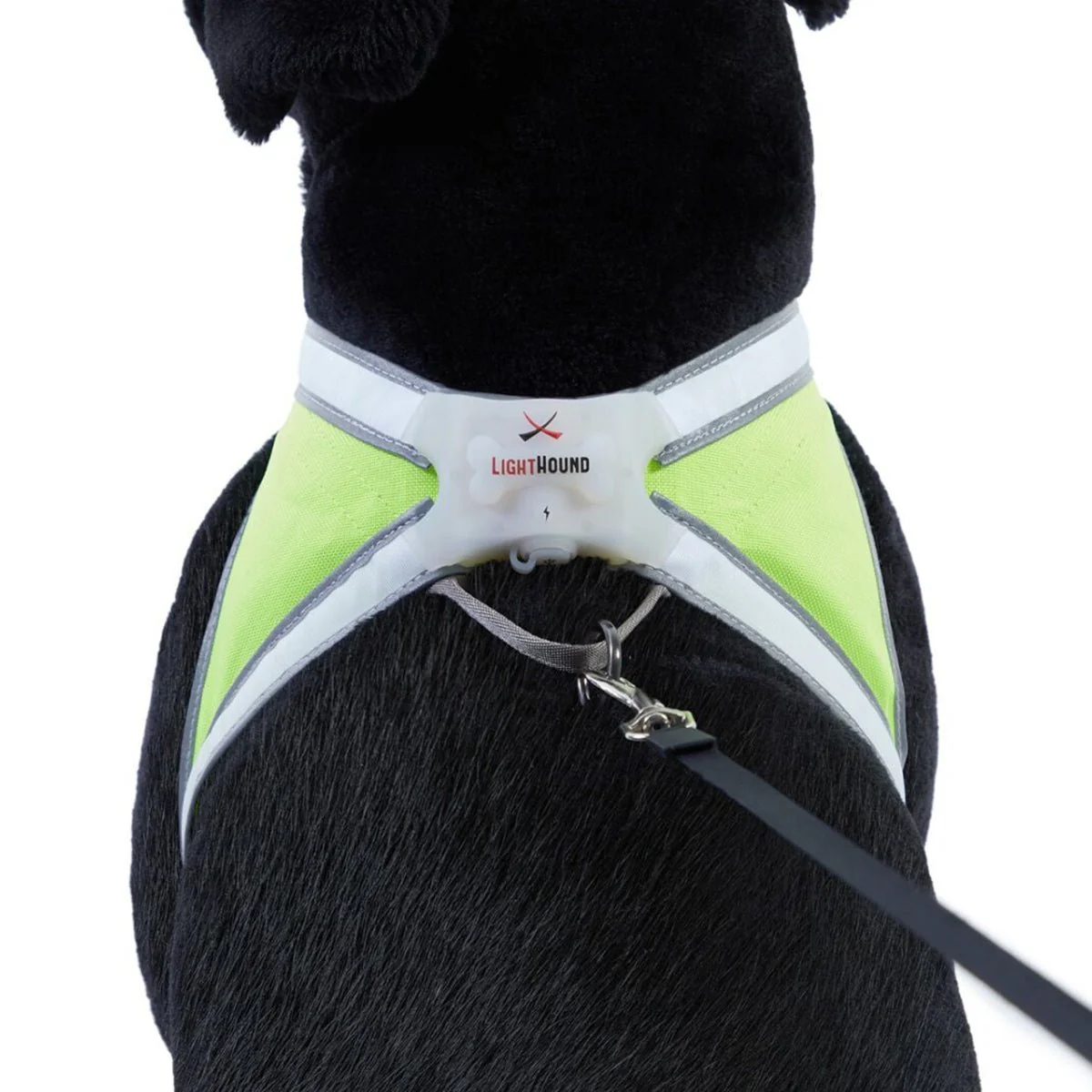 Noxgear Lighthound 360 Visibility Multicolor Reflective LED Dog Harness - Image 3