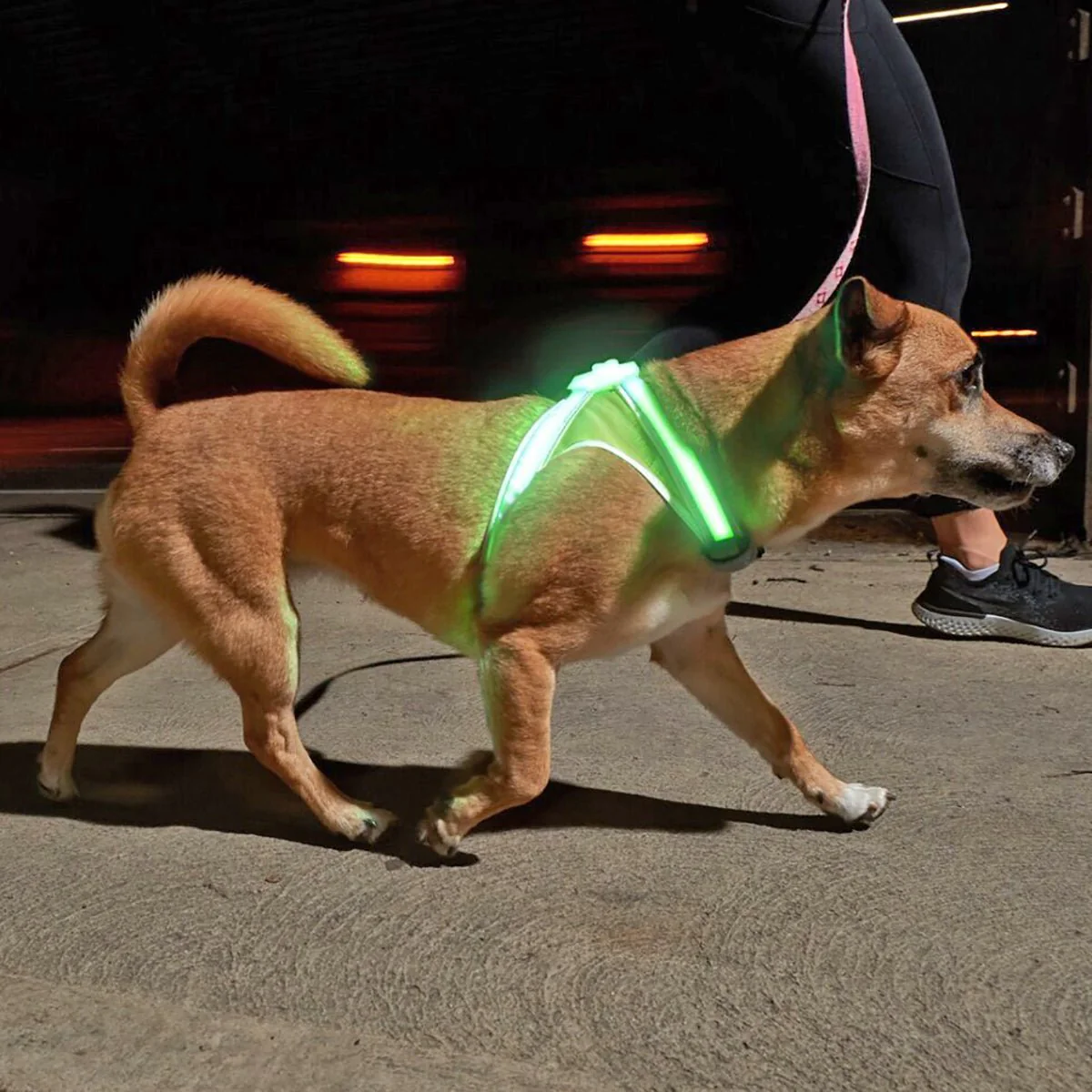 Noxgear Lighthound 360 Visibility Multicolor Reflective LED Dog Harness - Image 4