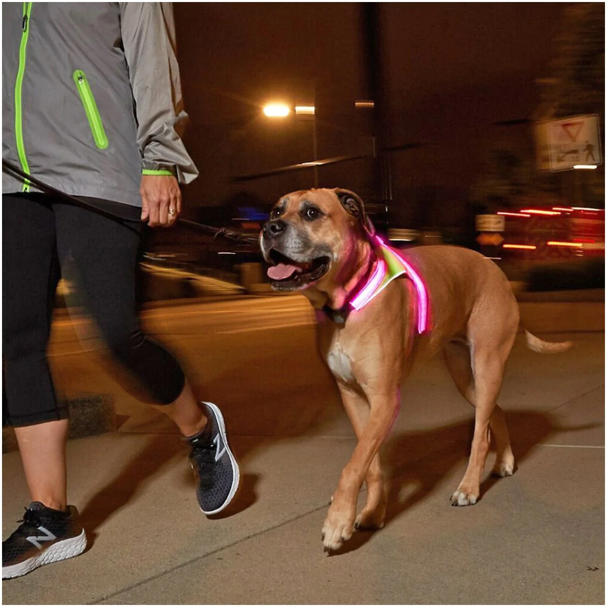 Noxgear Lighthound 360 Visibility Multicolor Reflective LED Dog Harness - Image 5