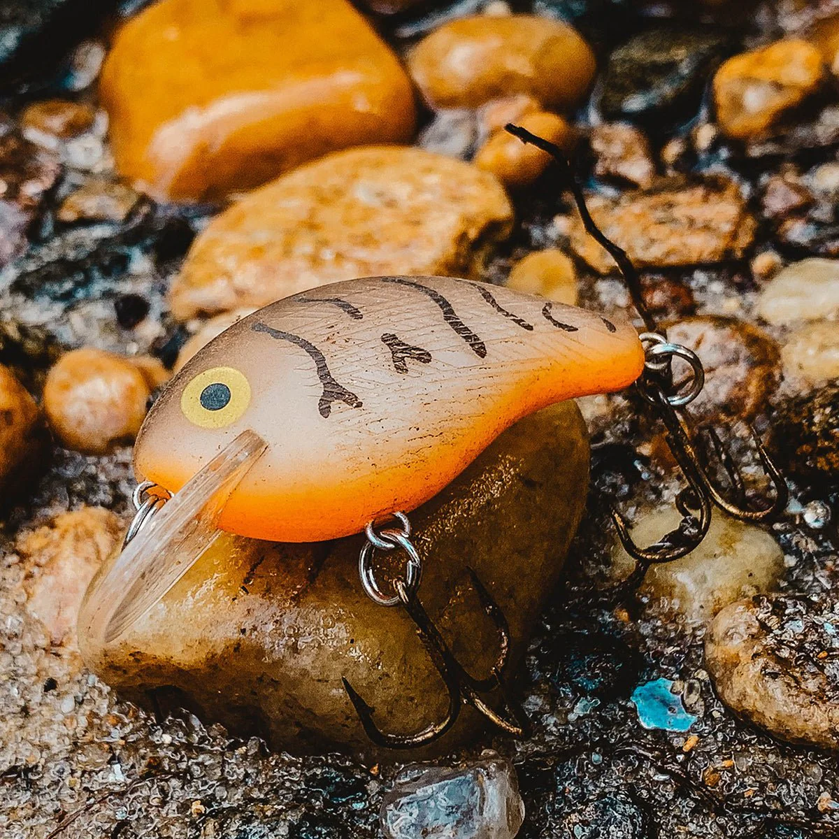 Rebel Pop'N Frog 3/16 oz Fishing Lure - Cricket Frog - Image 4