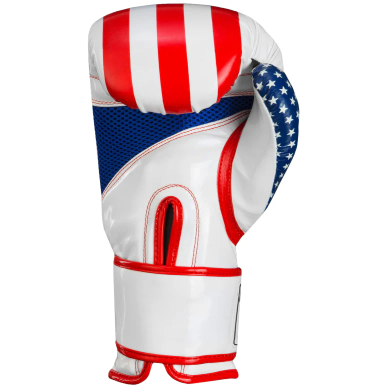Title Boxing Infused Foam Combat USA Hook and Loop Training Gloves - Image 2
