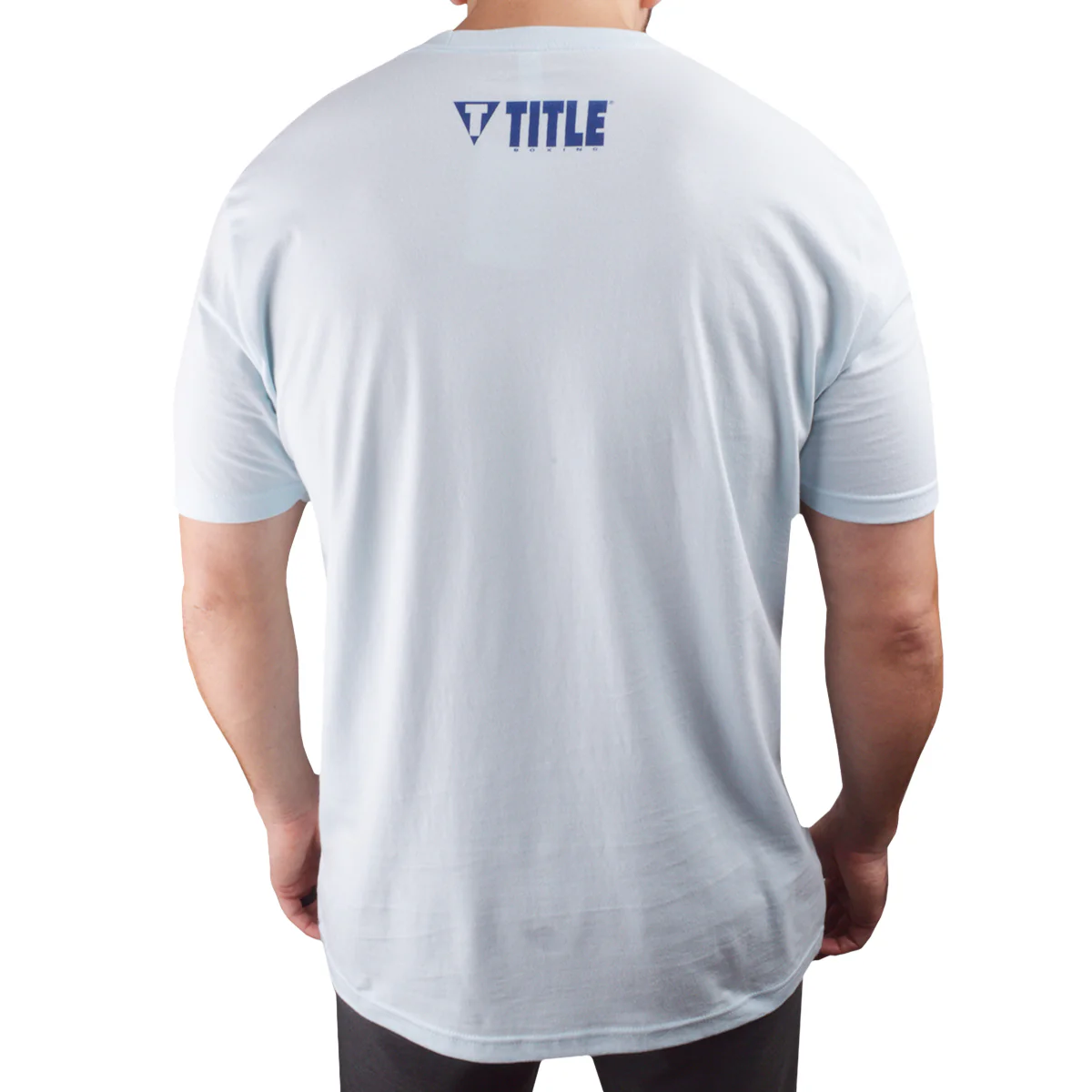 Title Boxing Joe Louis Stats Premium Fitted Legacy T-Shirt - Light Blue - Image 2
