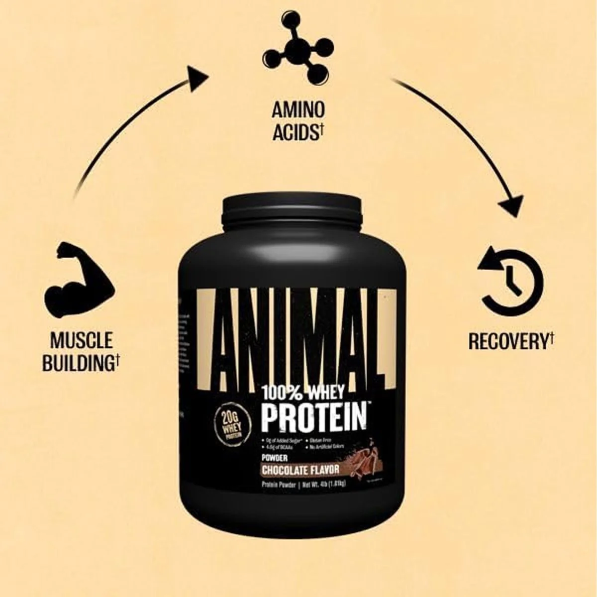 Universal Nutrition Animal 100% Whey Protein Powder - 60 Servings - Image 5